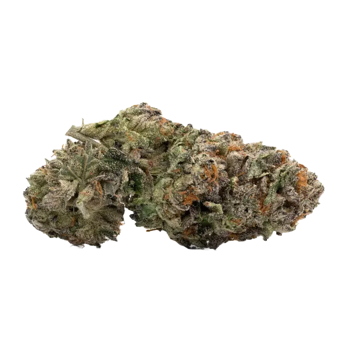 Master Kush