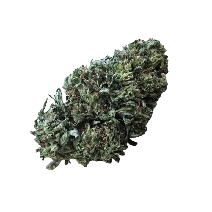 Sherbet