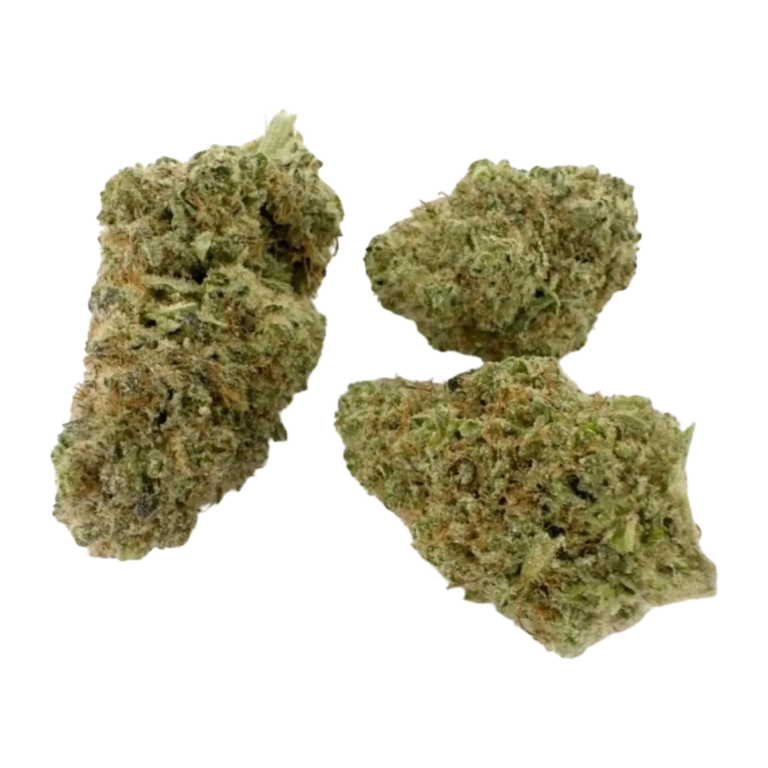 BUBBLE GUM